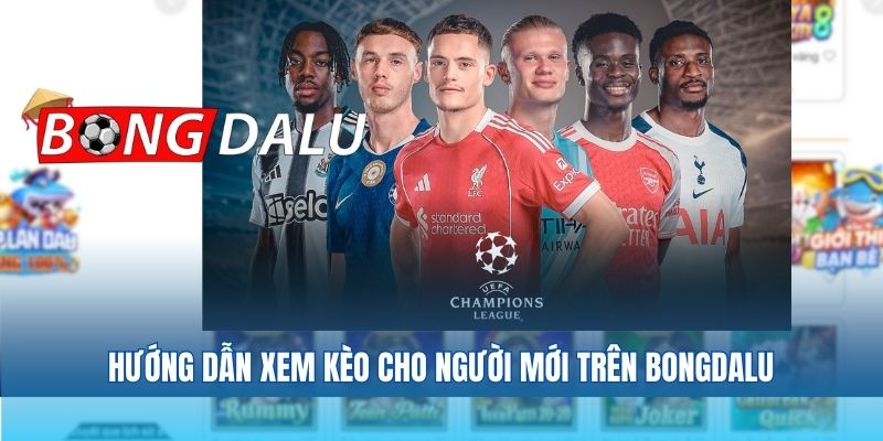 Hướng dẫn xem kèo cho người mới trên Bongdalu