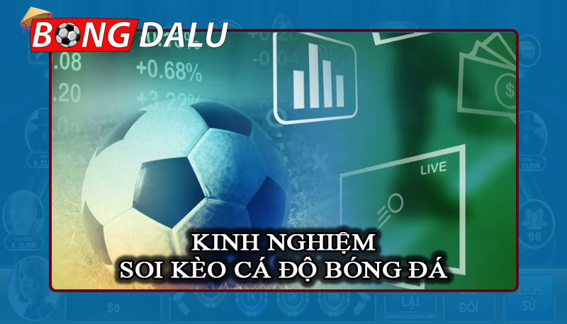 Chuyên gia bật mí kinh nghiệm soi kèo cá độ bóng đá