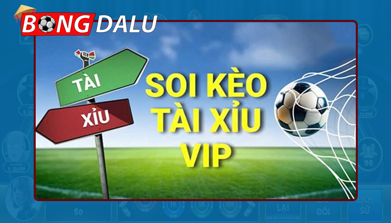Hiểu đúng về soi kèo tài xỉu